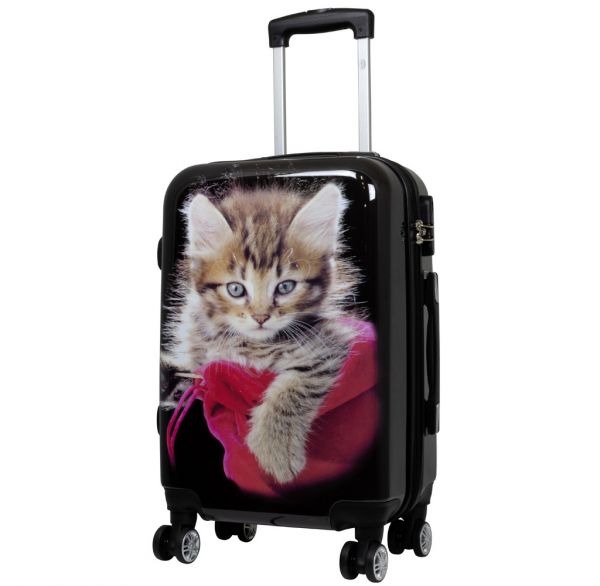 Polycarbonat Handgepäck Koffer Katze Größe S